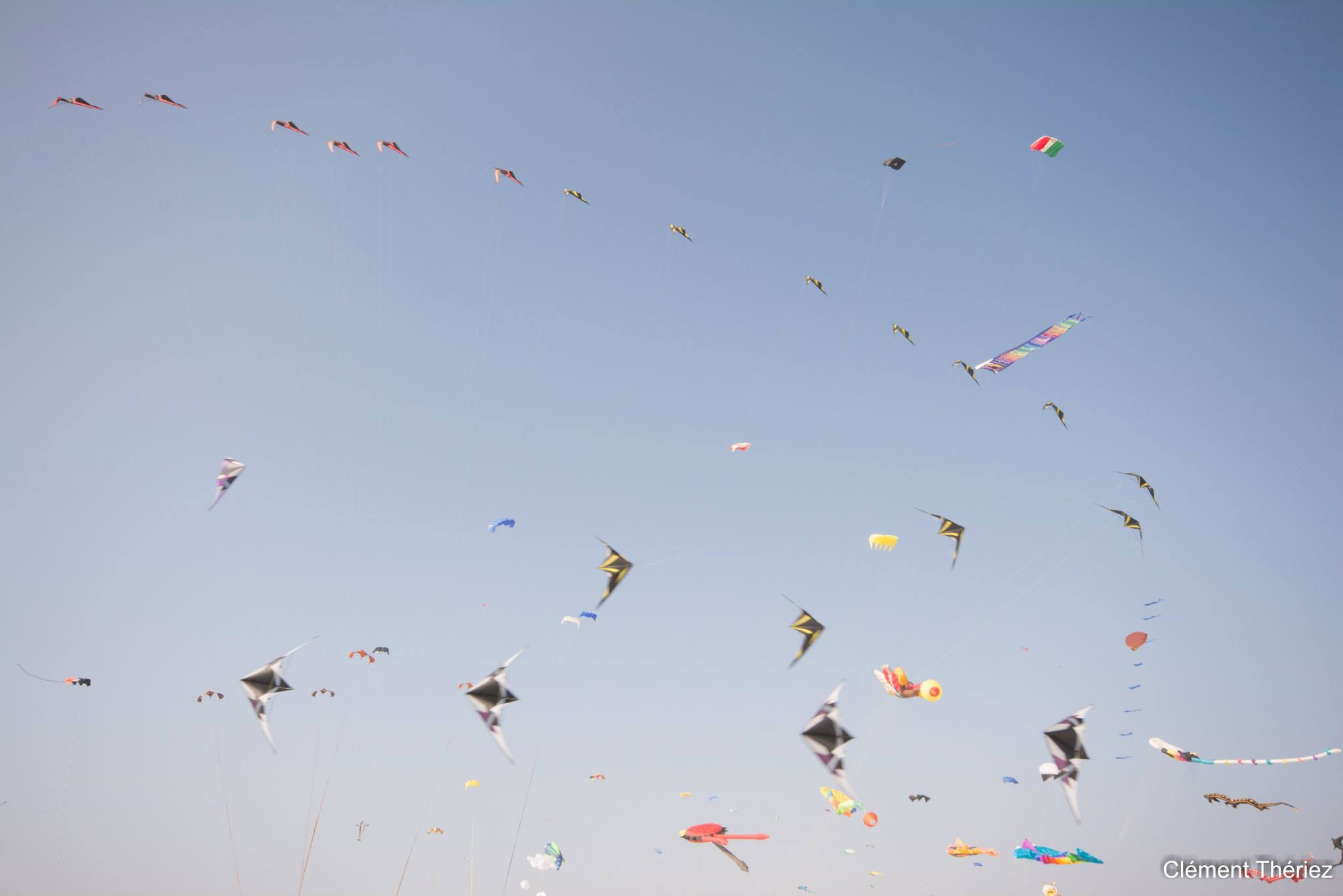 Berck : 30ème Rencontres Internationales de Cerfs Volants