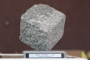 Cyclisme : La Reine des classiques – Paris Roubaix Adrien Petit 10e