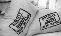 bataille d&rsquo;Arras-exposition au Musée des Beaux Arts